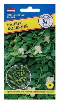 Семена цветов каперс колючий, 3 шт