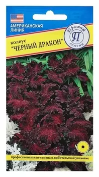 Семена цветов колеус "Черный дракон" F1, О, 10 шт