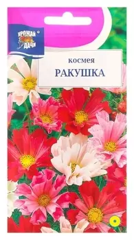 Семена цветов космея "Ракушка", 0,3 г