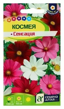Семена цветов космея "Сенсация", О, цп, 0,5 г