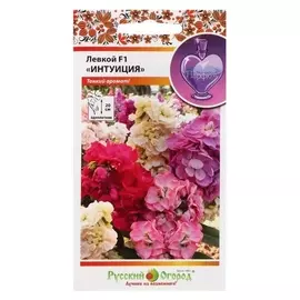 Семена цветов левкой "Интуиция", F1, низкорослая, смесь, 30 шт