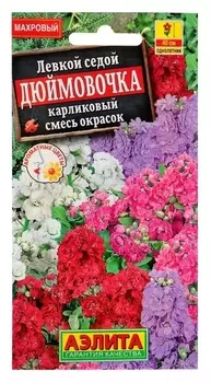 Семена цветов левкой карликовый "Дюймовочка", смесь окрасок, О, 0,1 г