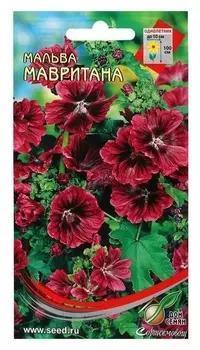 Семена цветов мальва мног. мавритана, 18 шт