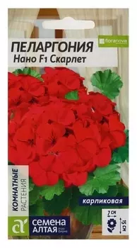 Семена цветов пеларгония нано "Скарлет", 3 шт