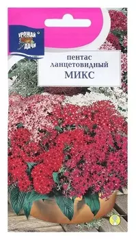 Семена цветов пентас ланцетовидный " F1", 3 шт. в амп.