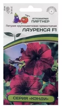 Семена цветов петуния "Лауренса", F1, прямостоячая, бургунди