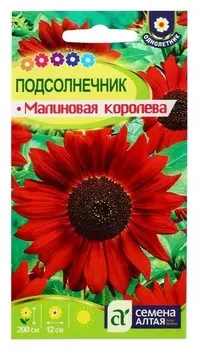 Семена цветов подсолнечник "Малиновая королева", О, 0,5 г.