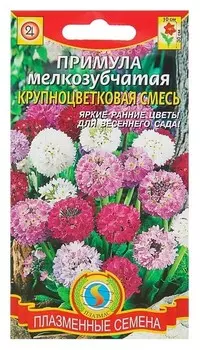 Семена цветов примула мелкозубчатая крупноцветковая смесь, Мн, 0,01 г