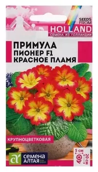 Семена цветов примула пионер "Красное пламя",5 шт