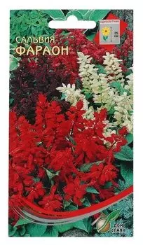 Семена цветов сальвия "Фараон", 15 шт