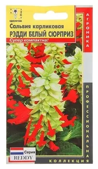 Семена цветов сальвия карликовая "Рэдди белый сюрприз", О, 10 шт