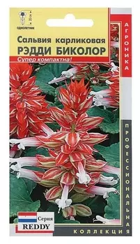Семена цветов сальвия карликовая "Рэдди биколор", О, 10 шт