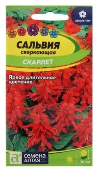 Семена цветов сальвия "Скарлет", сверкающая, сем. алт, ц/п, 0,1 г