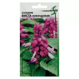 Семена цветов сальвия "Виста", лавандовая, 10 шт