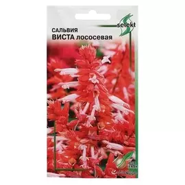 Семена цветов сальвия "Виста", лососевая, 10 шт