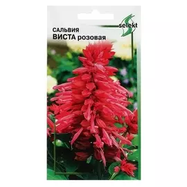 Семена цветов сальвия "Виста", розовая, 10 шт