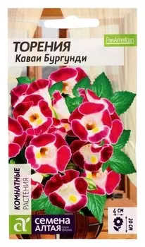 Семена цветов торения "Каваи бургунди", 5 шт