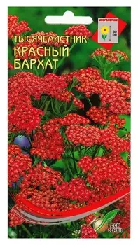 Семена цветов тысячелистник "Ахиллея" 250 шт.