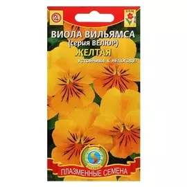 Семена цветов виола вильямса " желтая", серия велюр