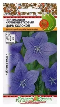 Семена. цветы. платикодон крупноцветковый "Царь-колокол" (8 штук)