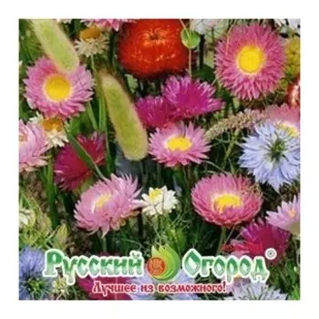 Семена. цветы. смесь сухоцветов (1 г)