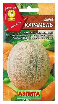 Семена дыня "Карамель", 1 г