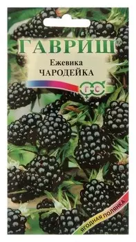 Семена ежевика "Чародейка", 10 шт