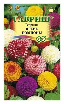 Семена. георгина "Яркие помпоны" (Вес: 0,2 г)
