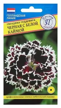 Семена гвоздика "Черная" с белой каймой, 15 шт