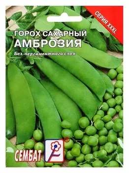 Семена хххl горох "Амброзия", 25 г