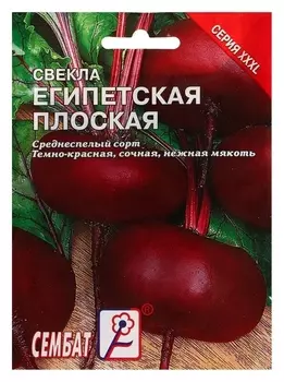 Семена хххl свекла "Египетская плоская"