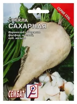 Семена хххl свекла "Сахарная", 10 г