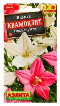 Семена Ипомея - смесь окрасок "Квамоклит"