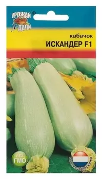 Семена кабачок "Искандер", F1,3 шт.