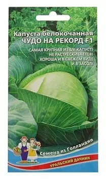Семена капуста "Чудо на рекорд" F1 позднеспелый, крупнокочанный, для квашения