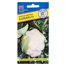 Семена капуста цветная "Барбара", F1, 10 шт