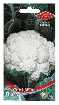 Семена капуста цветная "Иглу", 75 шт