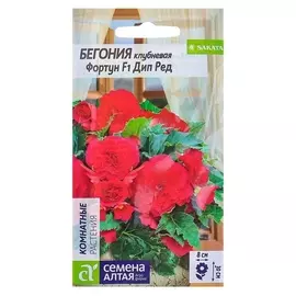 Семена комнатных цветов бегония фортун "Дип Ред" клубневая, Мн, цп, 5 шт.