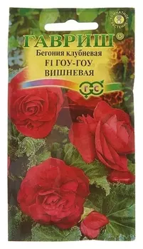 Семена комнатных цветов бегония "Гоу-гоу" вишневая F1 пробирка, гранулы, Мн, 4 шт.
