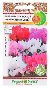 Семена комнатных цветов цикламен персидский крупноцветковый, 5 шт