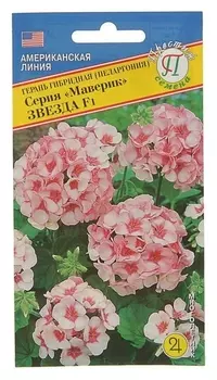 Семена комнатных цветов герань гибридная "Маверик" F1 звезда, Мн, 5 шт