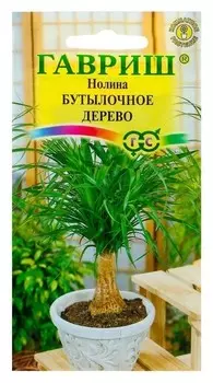 Семена комнатных цветов нолина "Бутылочное дерево", мн., 3 шт.