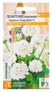 Семена комнатных цветов пеларгония "Горизонт пьюр вайт" зональная, Мн, цп, 4 шт.