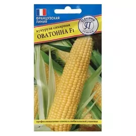 Семена кукуруза сл. "Оватонна" F1, 10 шт