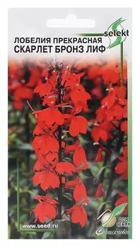Семена лобелия прекрасная "Скарлет", 3 шт