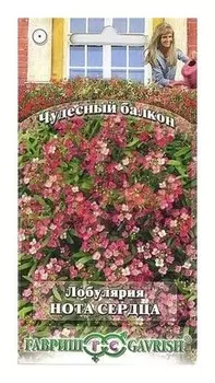 Семена. лобулярия "Нота сердца" (Вес: 0,1 г)