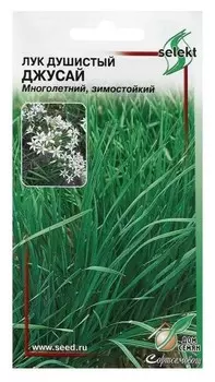 Семена Лук душистый "Джусай", 40 шт