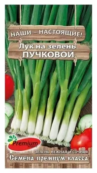 Семена Лук на зелень пучковый, 1гр