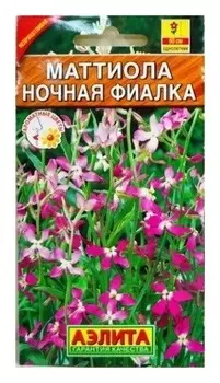Семена Маттиола "Ночная фиалка"