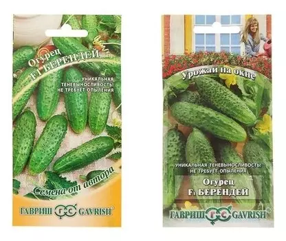 Семена огурец "Берендей" F1, скороспелый, партенокарпический, 10 шт.